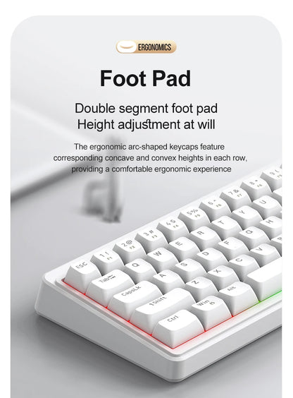 Teclado Mecânico Feel FREEWOLF M68SE 68 Teclas Mini Com Fio Compacto Silencioso para Laptops, Jogos e Uso de Escritório