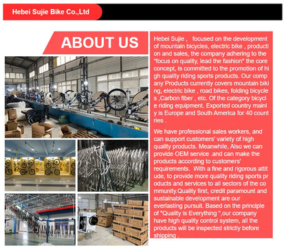 Bicicleta Profissional de Esporte Bicicleta de Alumínio 29 MTB Bicicleta de Montanha